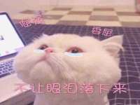 沭阳县晨铎电子商务有限公司