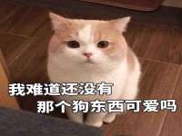 沭阳县晨铎电子商务有限公司