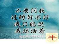 沭阳县晨铎电子商务有限公司