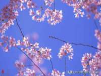 沭阳县晨铎电子商务有限公司