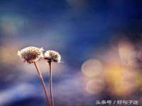 沭阳县晨铎电子商务有限公司
