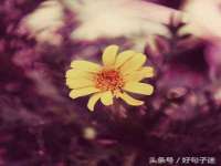 沭阳县晨铎电子商务有限公司