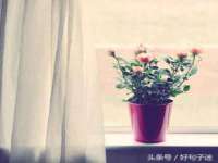 沭阳县晨铎电子商务有限公司