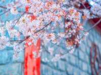 沭阳县晨铎电子商务有限公司