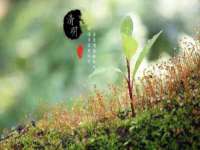 沭阳县晨铎电子商务有限公司