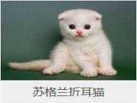 沭阳县晨铎电子商务有限公司