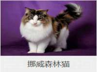 沭阳县晨铎电子商务有限公司