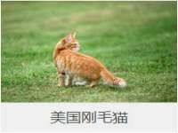 沭阳县晨铎电子商务有限公司