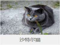 沭阳县晨铎电子商务有限公司