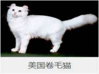 沭阳县晨铎电子商务有限公司