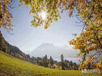 沭阳县晨铎电子商务有限公司