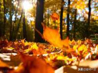 沭阳县晨铎电子商务有限公司