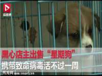 沭阳县晨铎电子商务有限公司