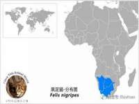 沭阳县晨铎电子商务有限公司