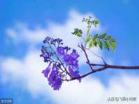 沭阳县晨铎电子商务有限公司