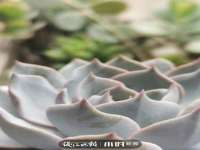 沭阳县晨铎电子商务有限公司