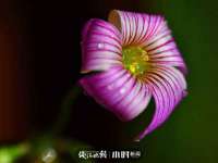 沭阳县晨铎电子商务有限公司