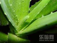 沭阳县晨铎电子商务有限公司