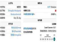 沭阳县晨铎电子商务有限公司