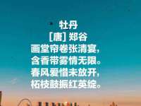 沭阳县晨铎电子商务有限公司