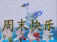 沭阳县晨铎电子商务有限公司