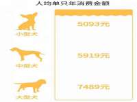 沭阳县晨铎电子商务有限公司