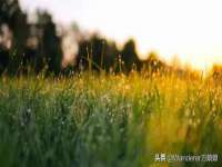 沭阳县晨铎电子商务有限公司