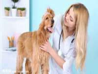 沭阳县晨铎电子商务有限公司