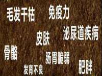 沭阳县晨铎电子商务有限公司