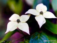 沭阳县晨铎电子商务有限公司