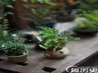 沭阳县晨铎电子商务有限公司