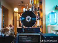 沭阳县晨铎电子商务有限公司