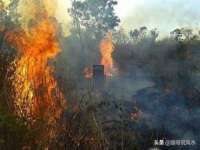 沭阳县晨铎电子商务有限公司