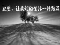 沭阳县晨铎电子商务有限公司