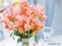 沭阳县晨铎电子商务有限公司