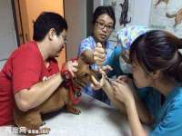 沭阳县晨铎电子商务有限公司