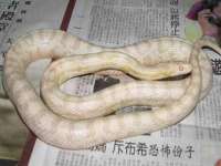 沭阳县晨铎电子商务有限公司