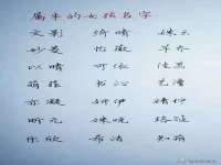 沭阳县晨铎电子商务有限公司