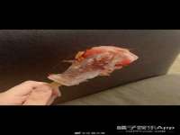 沭阳县晨铎电子商务有限公司